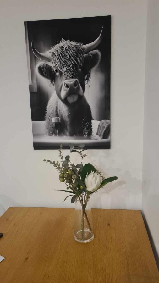 Elegant Cbd Apartment Christchurch Ngoại thất bức ảnh